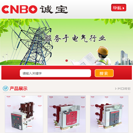 2014年5月，米點科技開始為企業(yè)提供微網站服務